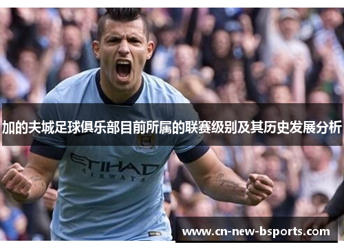 加的夫城足球俱乐部目前所属的联赛级别及其历史发展分析 加的夫城足球俱乐部目前所属的联赛级别及其历史发展分析