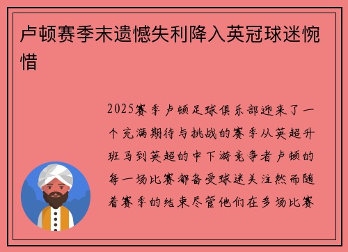 卢顿赛季末遗憾失利降入英冠球迷惋惜 卢顿赛季末遗憾失利降入英冠球迷惋惜